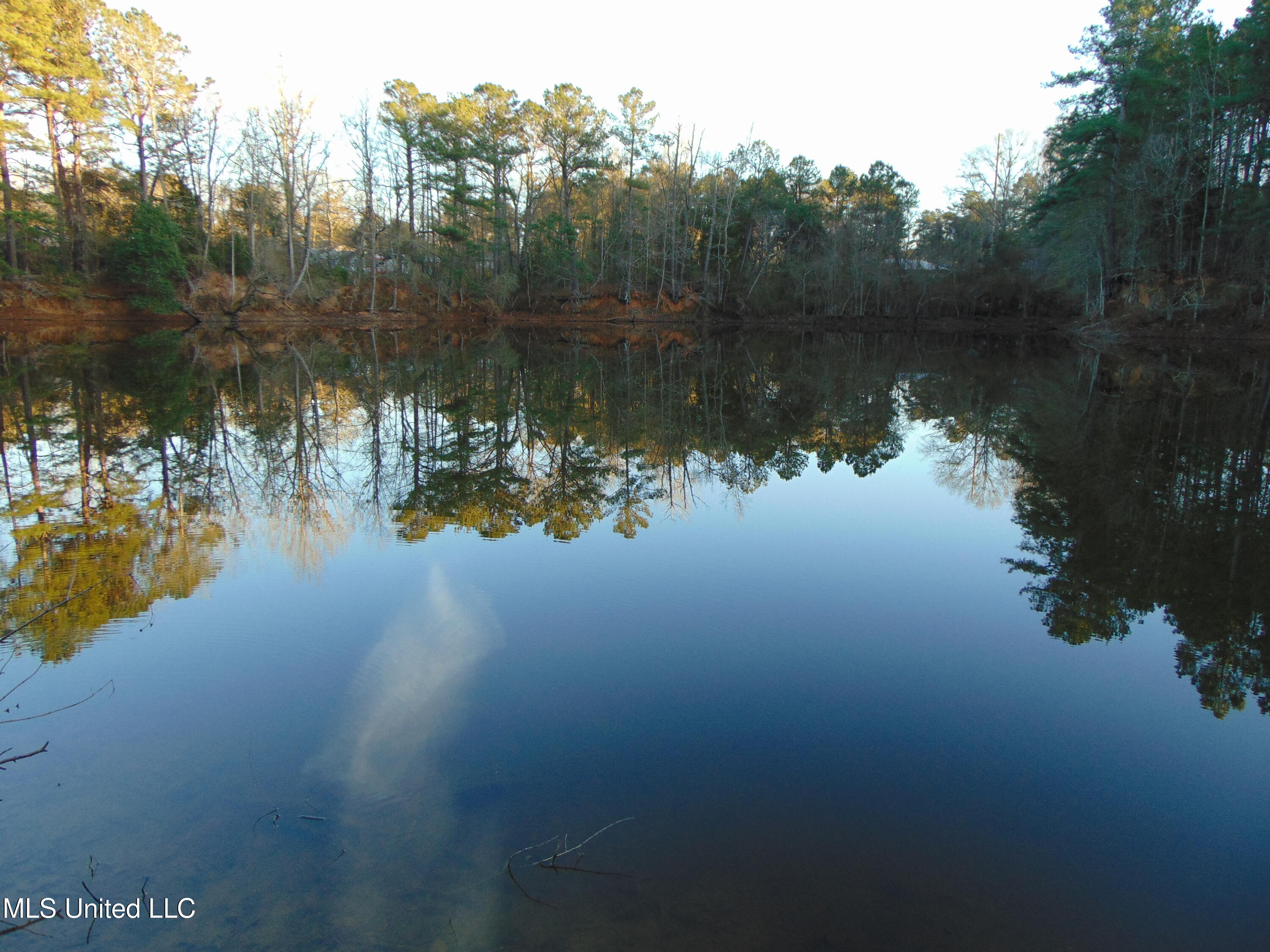2605 Northeast Brignall Road Brookhaven, MS 39601 - Photo 29 of 33 DSC05680