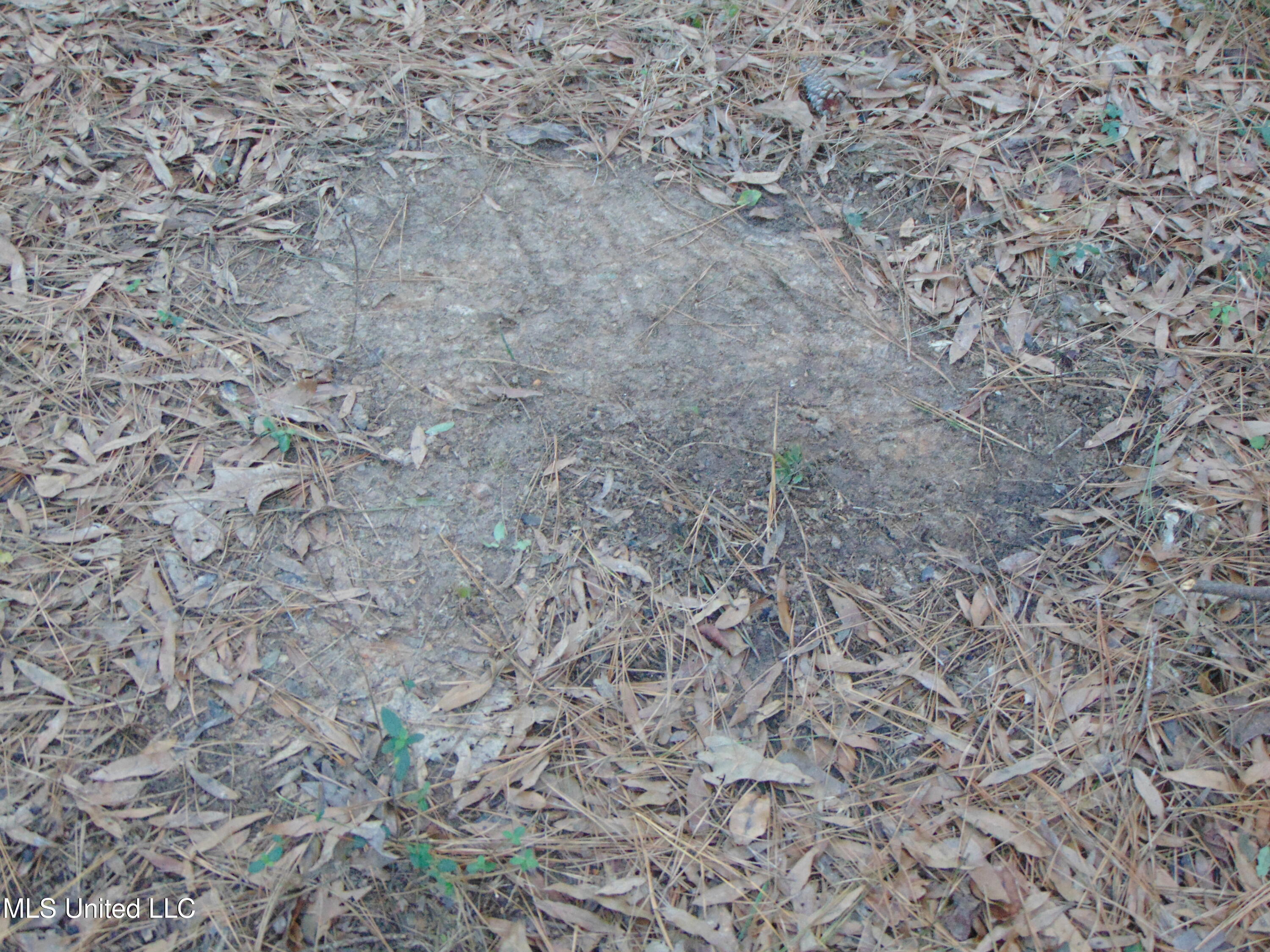 2605 Northeast Brignall Road Brookhaven, MS 39601 - Photo 30 of 33 DSC05681