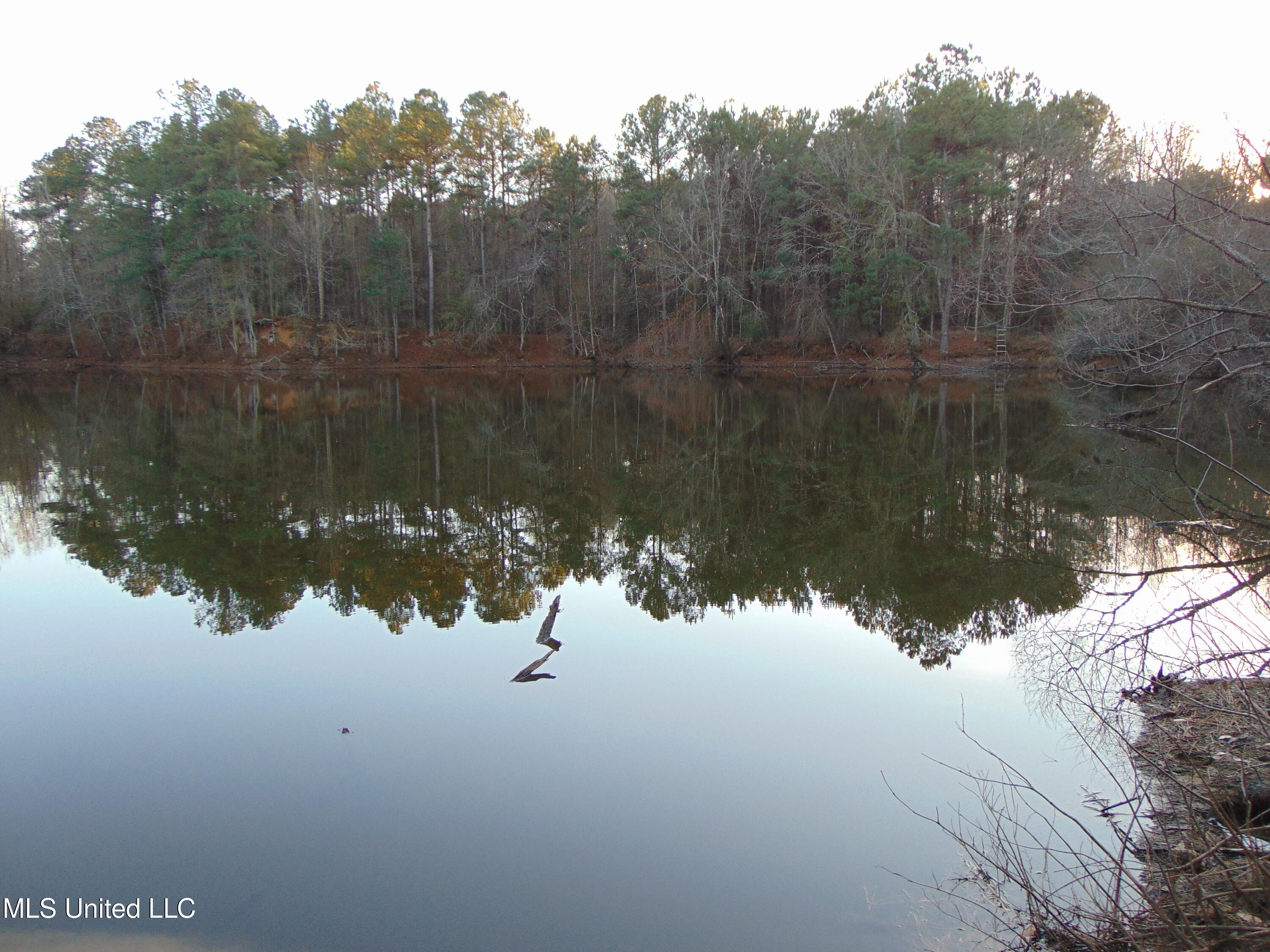 2605 Northeast Brignall Road Brookhaven, MS 39601 - Photo 3 of 33 DSC05673