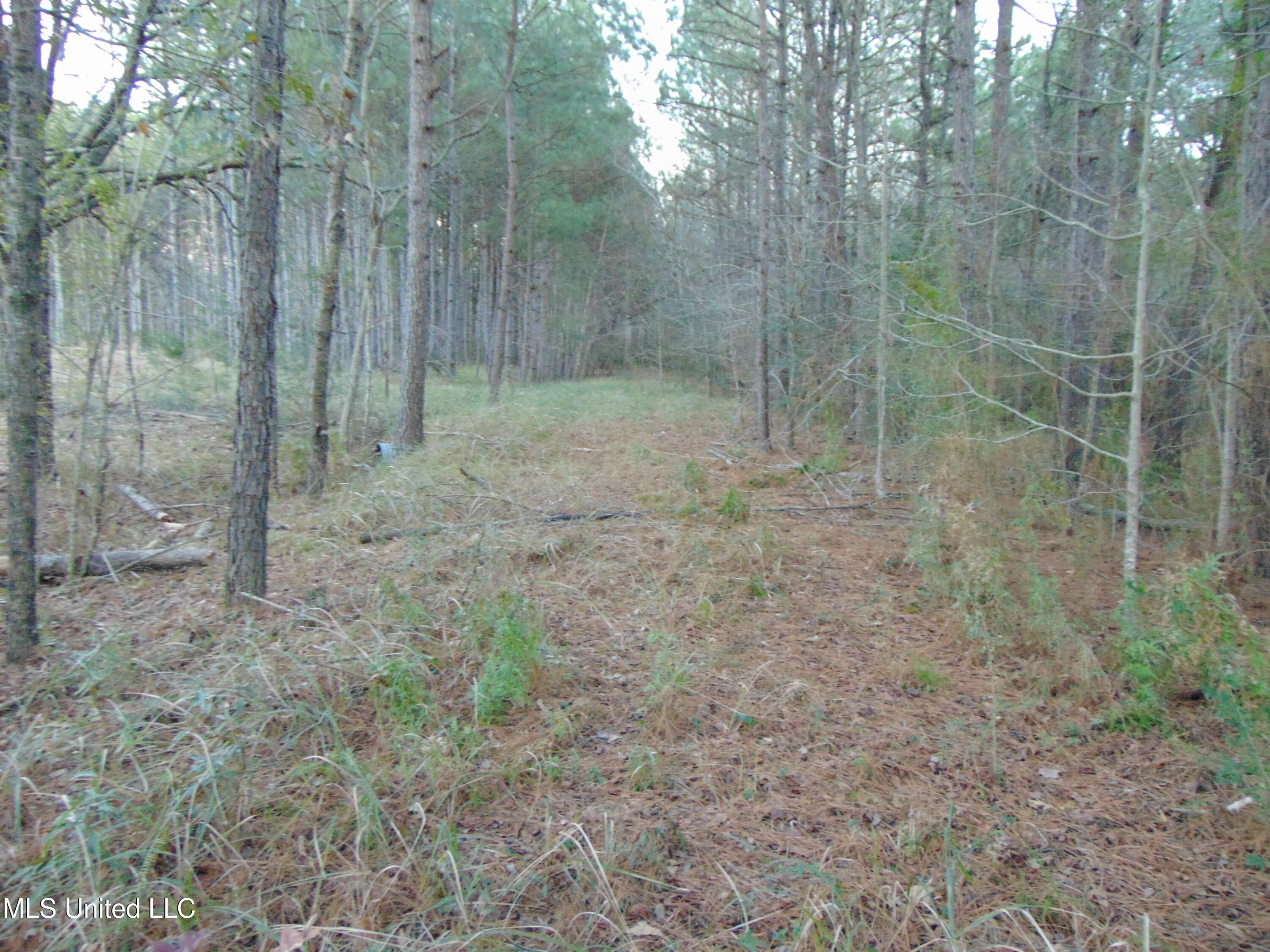 2605 Northeast Brignall Road Brookhaven, MS 39601 - Photo 32 of 33 DSC05686