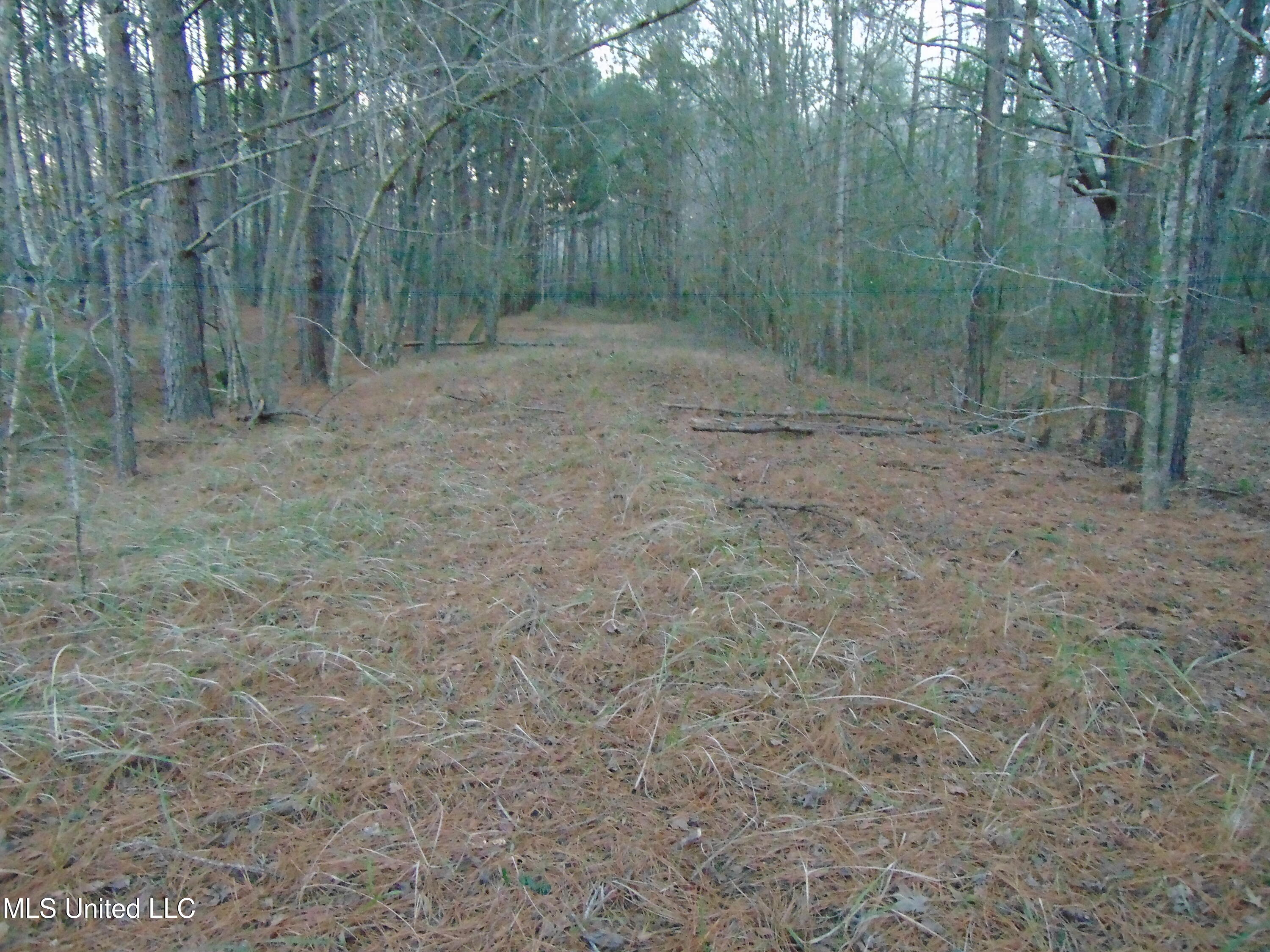 2605 Northeast Brignall Road Brookhaven, MS 39601 - Photo 33 of 33 DSC05687