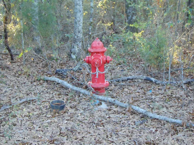 $99,000 | 2605 Northeast Brignall Road, Brookhaven, MS 39601