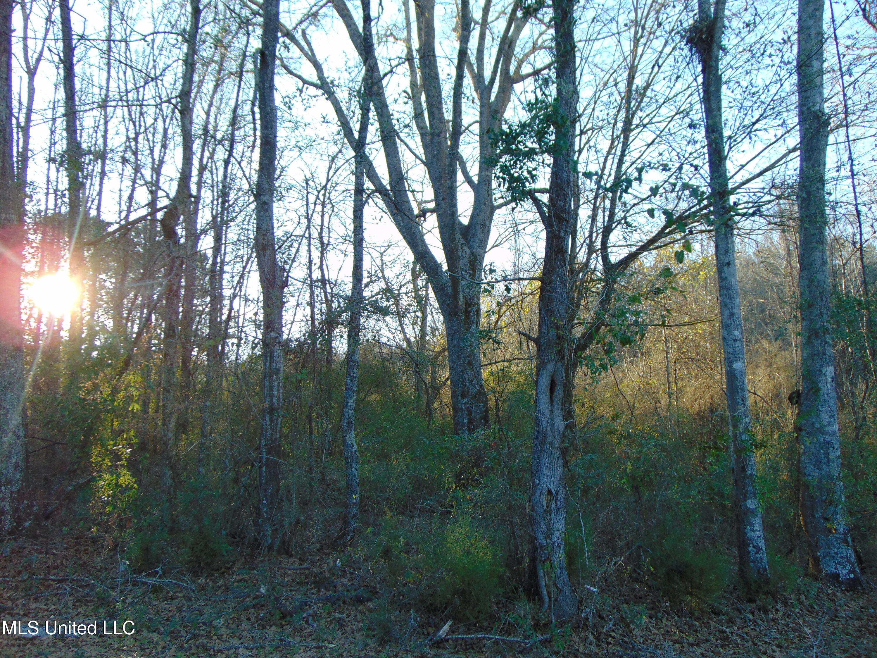 2605 Northeast Brignall Road Brookhaven, MS 39601 - Photo 6 of 33 DSC05650