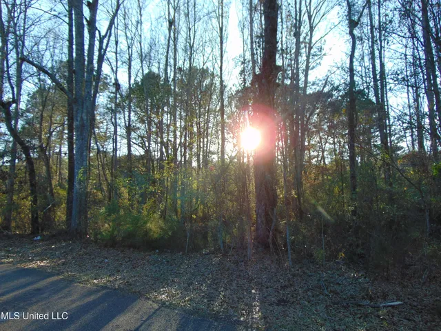 $99,000 | 2605 Northeast Brignall Road, Brookhaven, MS 39601