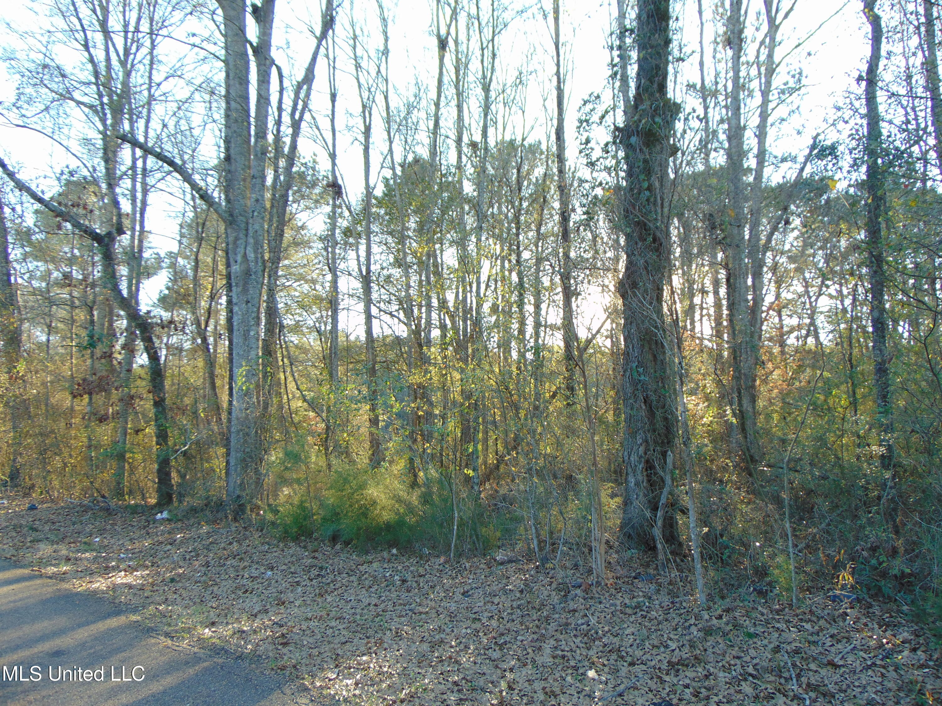 2605 Northeast Brignall Road Brookhaven, MS 39601 - Photo 8 of 33 DSC05653