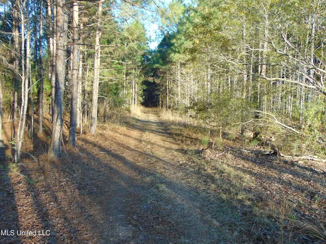 $99,000 | 2605 Northeast Brignall Road, Brookhaven, MS 39601