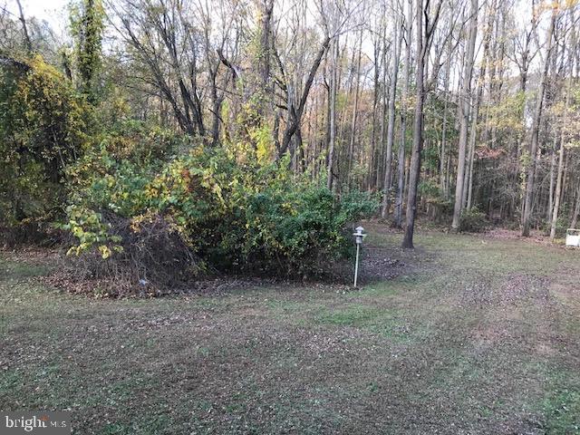 823 Rancocas Road Westampton, NJ 08060 - Photo 4 of 25 Rear Yard on treed lot