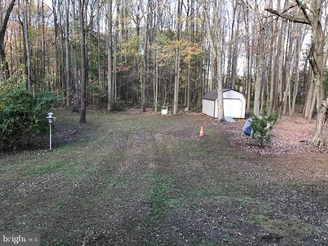 823 Rancocas Road Westampton, NJ 08060 - Photo 5 of 25 More of beautiful Rear Yard on treed lot
