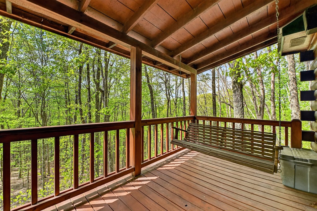 660 Ripshin Mountain Road Blue Ridge, GA 30513 - Photo 33 of 40