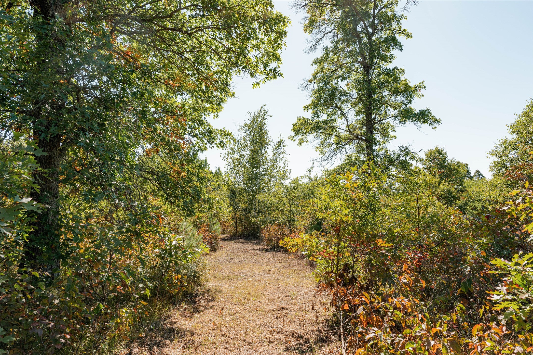 0 County Rd T Minong, WI 54859 - Photo 11 of 12 Gallery Image 11