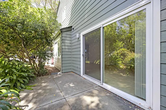 a view of a pathway with a tree