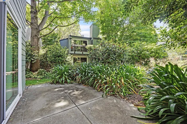 a view of a yard with plants and trees