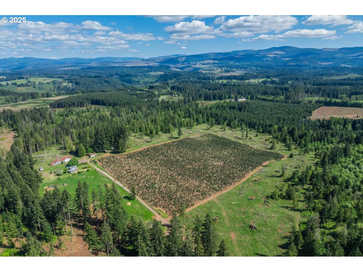 25402 South Schockley Road Beavercreek, OR 97004 - Photo 47 of 48