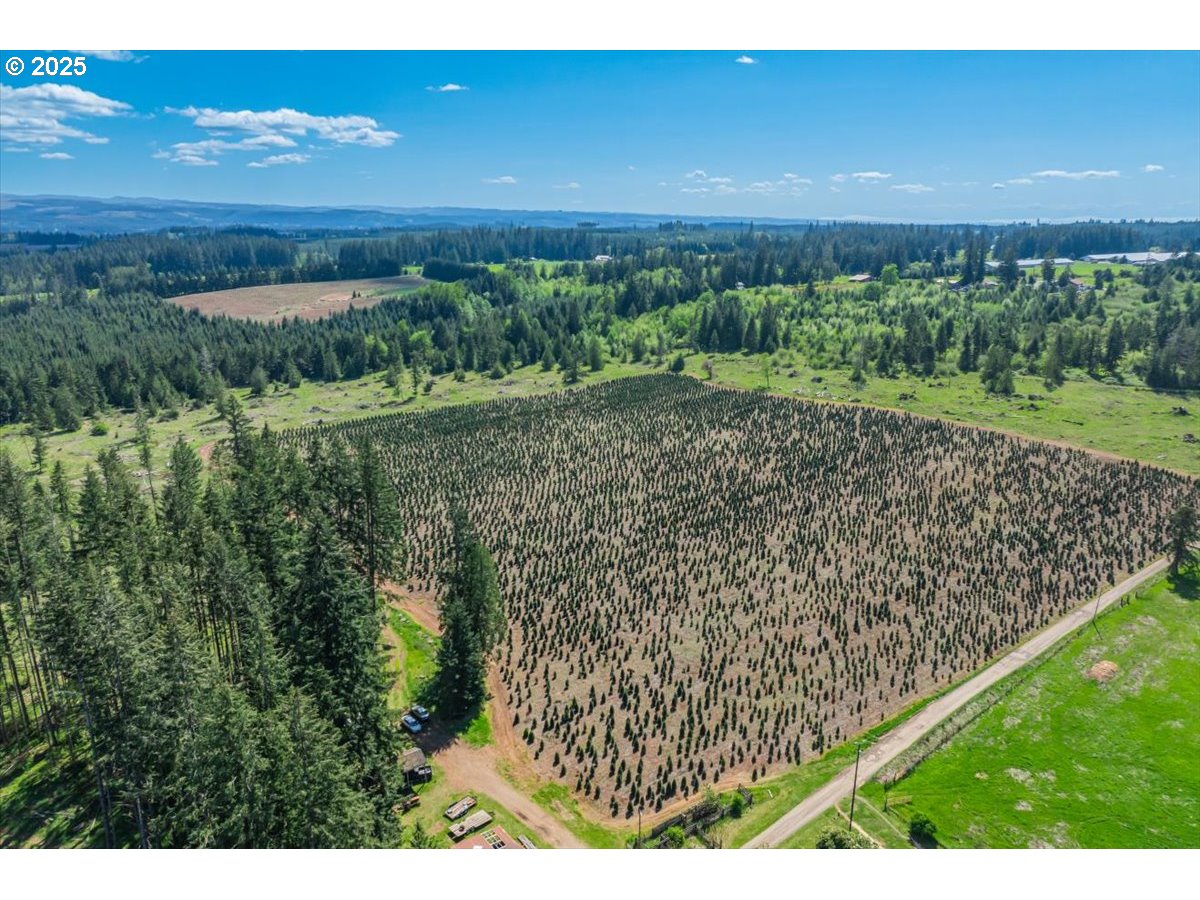 25402 South Schockley Road Beavercreek, OR 97004 - Photo 48 of 48