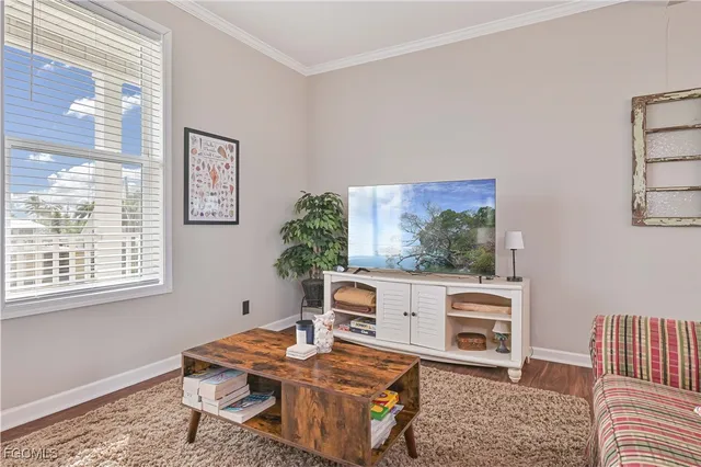 a living room with furniture a rug and a window
