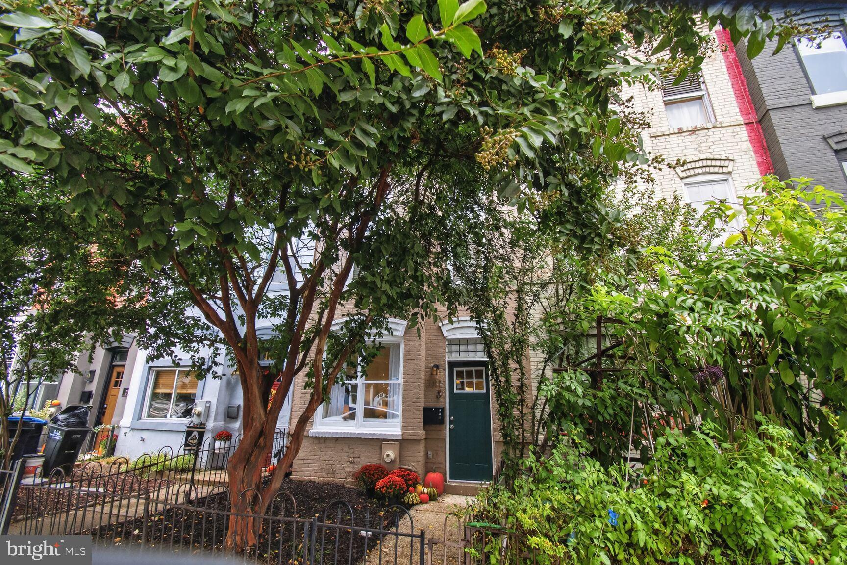 1027 6th Street Northeast Washington, DC 20002 - Photo 30 of 38 Charming home embraced by lush greenery.