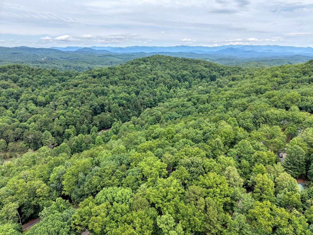 664 High Ridge Road Murphy, NC 28906 - Photo 40 of 42