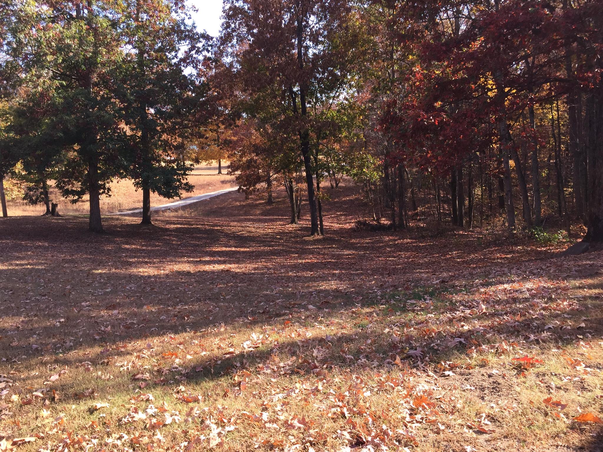 1705 Trussell Road Monteagle, TN 37356 - Photo 3 of 18 Beautiful Setting with 2 +/- acres