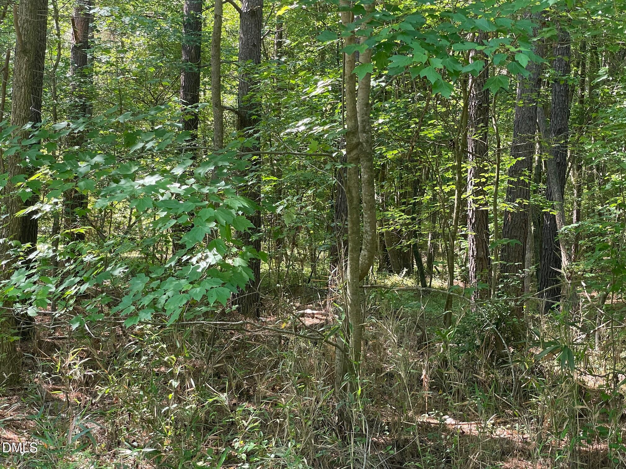 300-1 Landmark Road Willow Spring, NC 27592 - Photo 2 of 6 IMG_2869