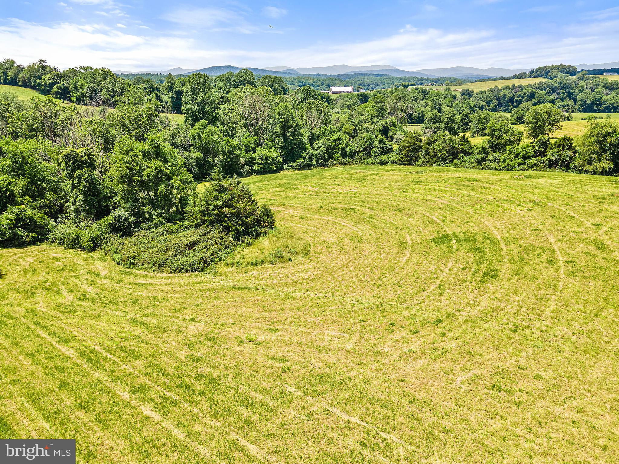 0 Doc's Road Amissville, VA 20106 - Photo 7 of 17