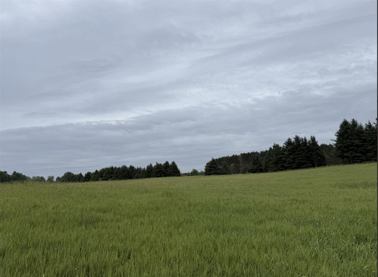 Eight Mile Road Kaleva, MI 49645 - Photo 14 of 14