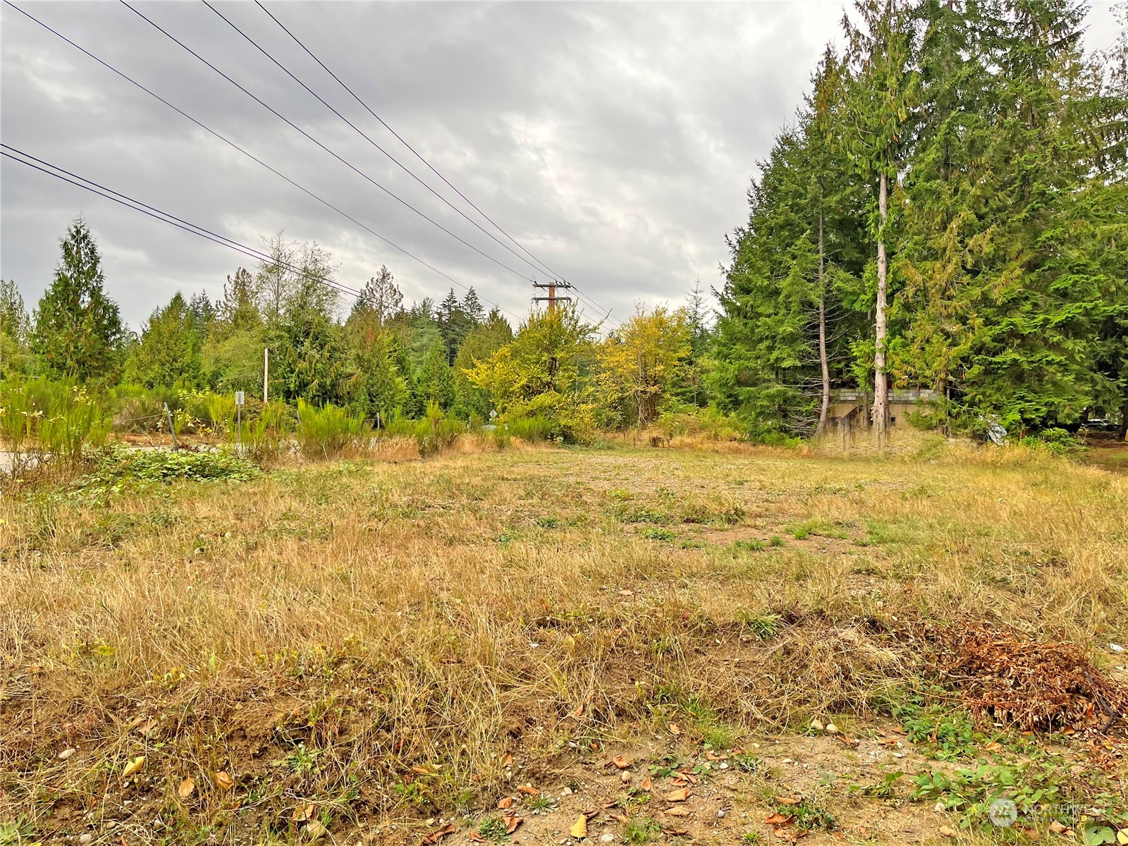 0 Southwest Lake Flora Road Port Orchard, WA 98367 - Photo 1 of 6 Gallery Image 1