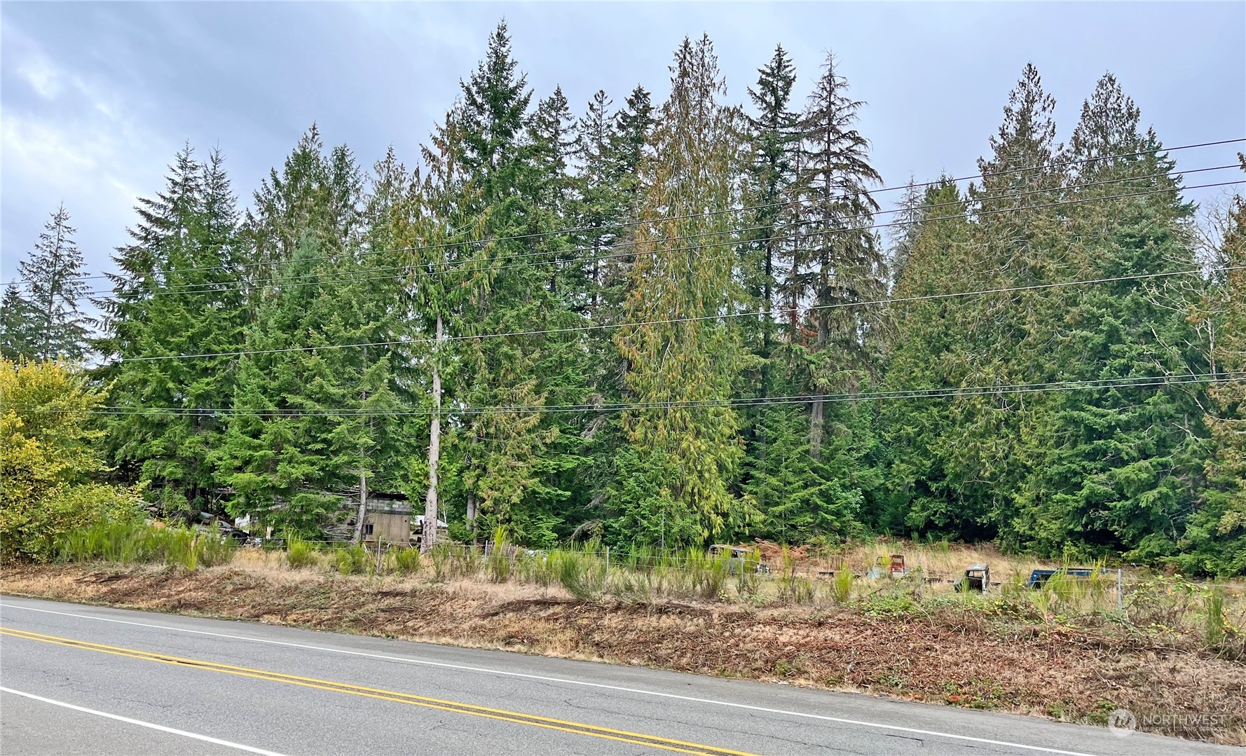 0 Southwest Lake Flora Road Port Orchard, WA 98367 - Photo 2 of 6 Gallery Image 2