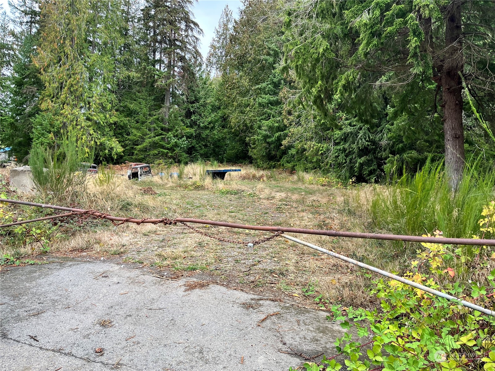 0 Southwest Lake Flora Road Port Orchard, WA 98367 - Photo 3 of 6 Gallery Image 3
