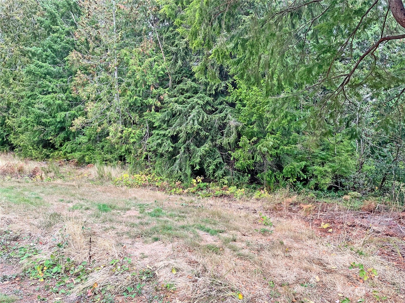 0 Southwest Lake Flora Road Port Orchard, WA 98367 - Photo 4 of 6 Gallery Image 4
