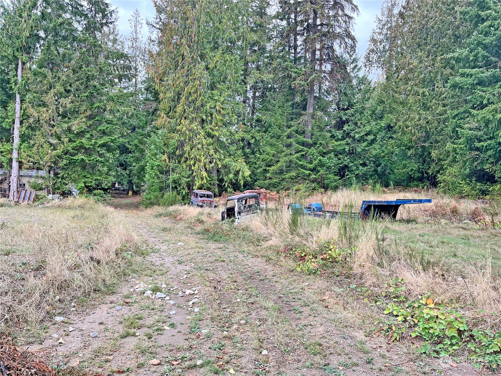 0 Southwest Lake Flora Road Port Orchard, WA 98367 - Photo 5 of 6 Gallery Image 5