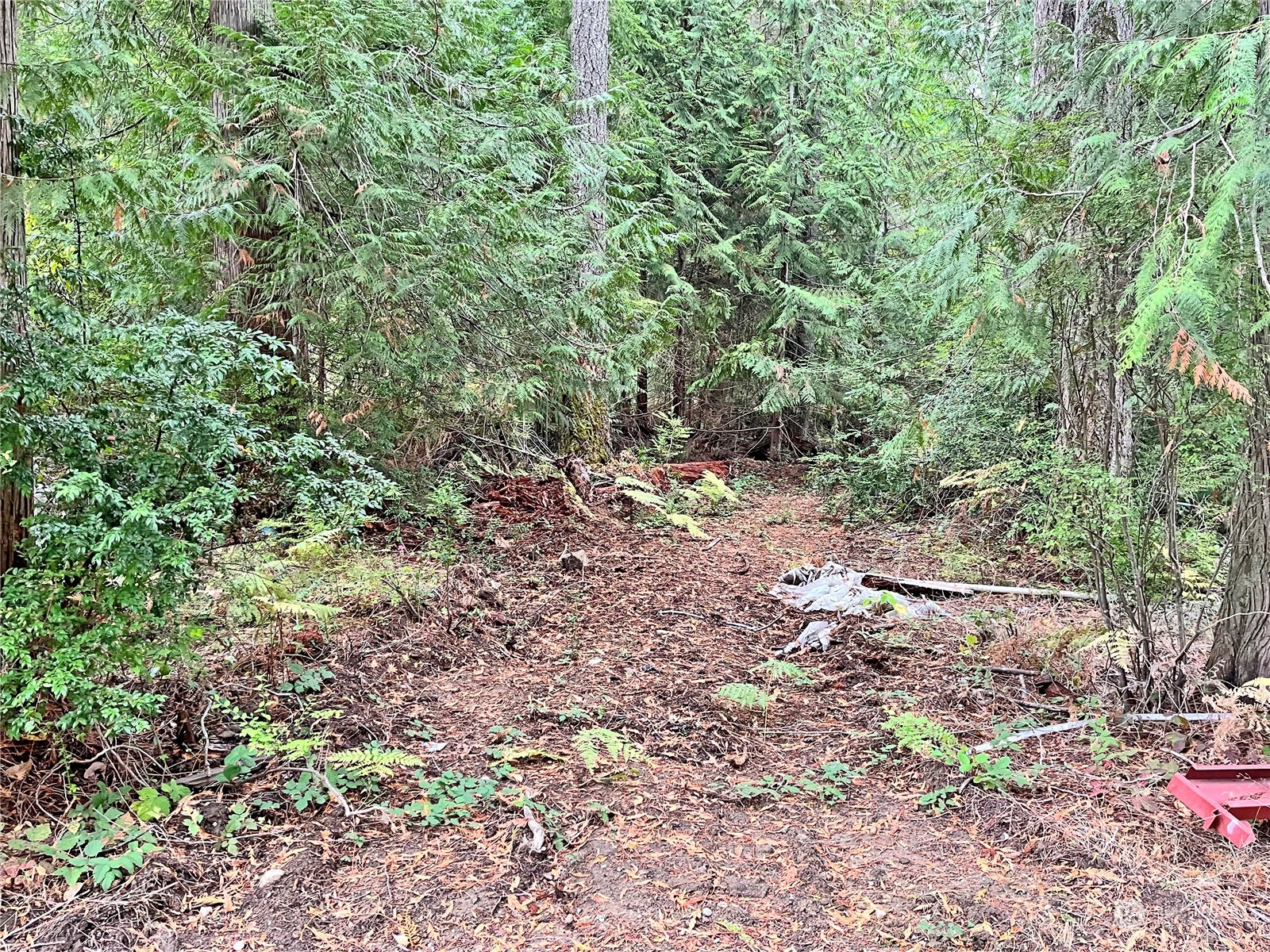 0 Southwest Lake Flora Road Port Orchard, WA 98367 - Photo 6 of 6 Gallery Image 6