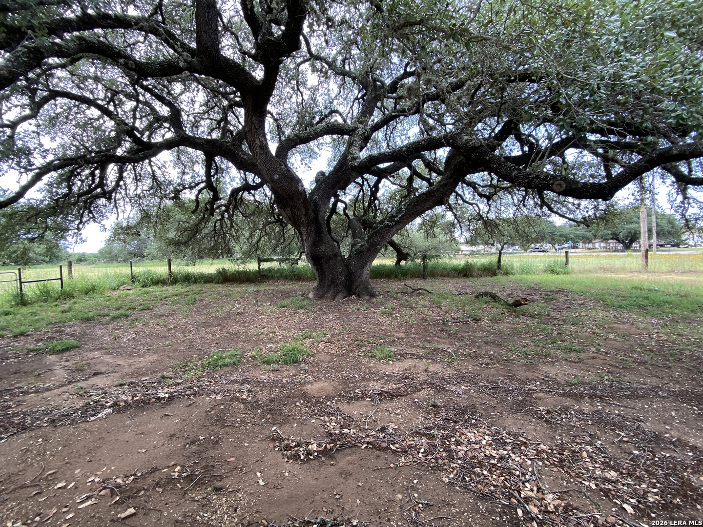 60 Wisdom Road Pleasanton, TX 78064 - Photo 22 of 29 a view of outdoor space with trees
