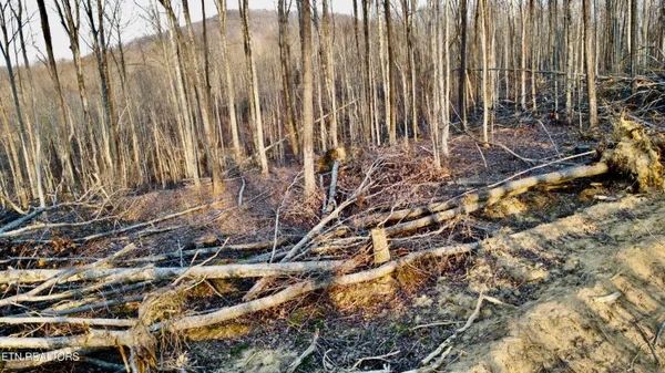 $58,600 | Lot#13 Mill Creek Road, Sunbright, TN 37872