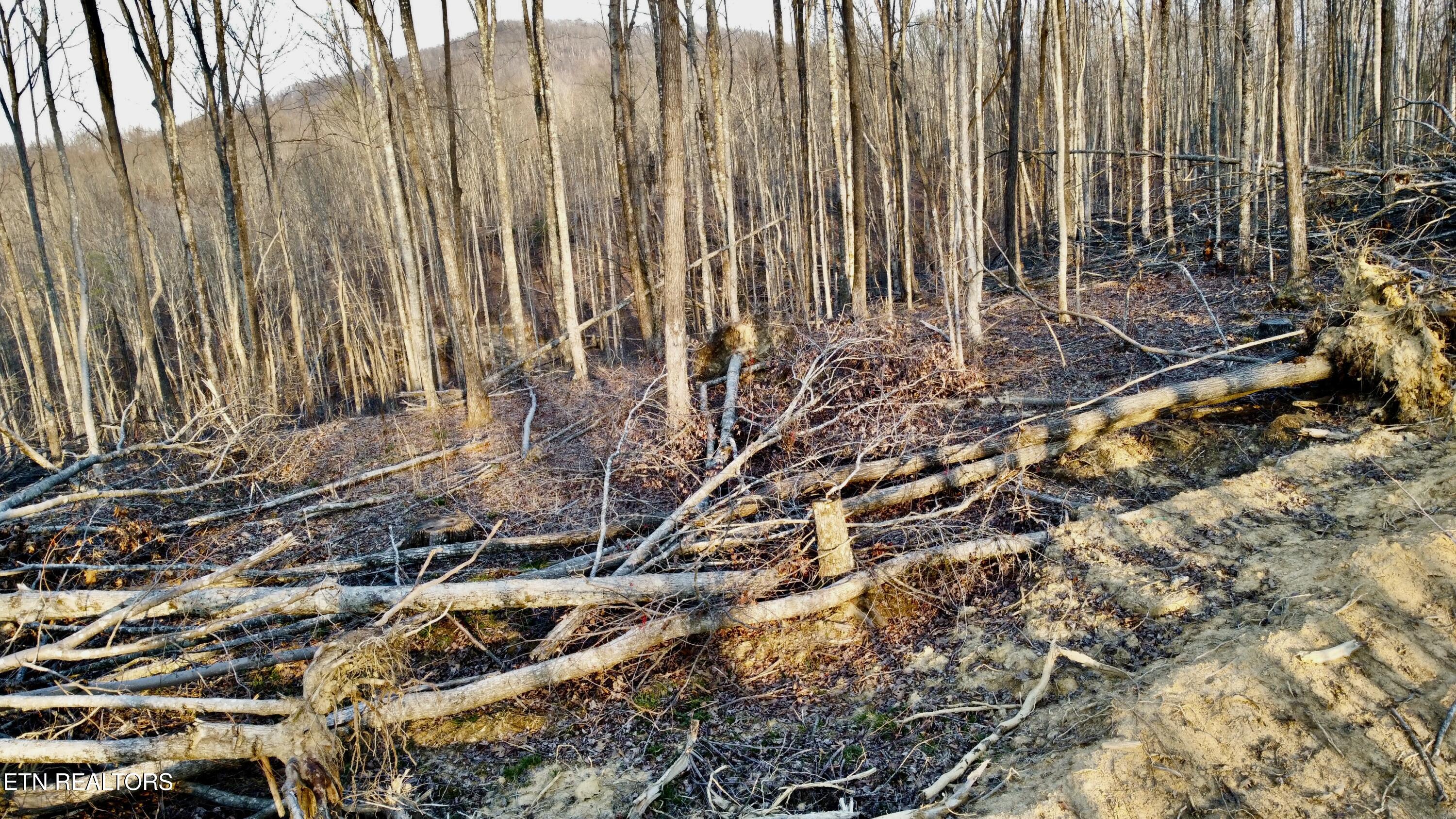 Lot#13 Mill Creek Road Sunbright, TN 37872 - Photo 11 of 15 Photo Mar 26 2026, 7 05 57 PM