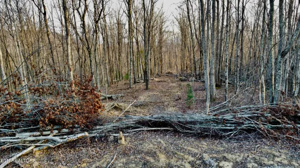 $58,600 | Lot#13 Mill Creek Road, Sunbright, TN 37872