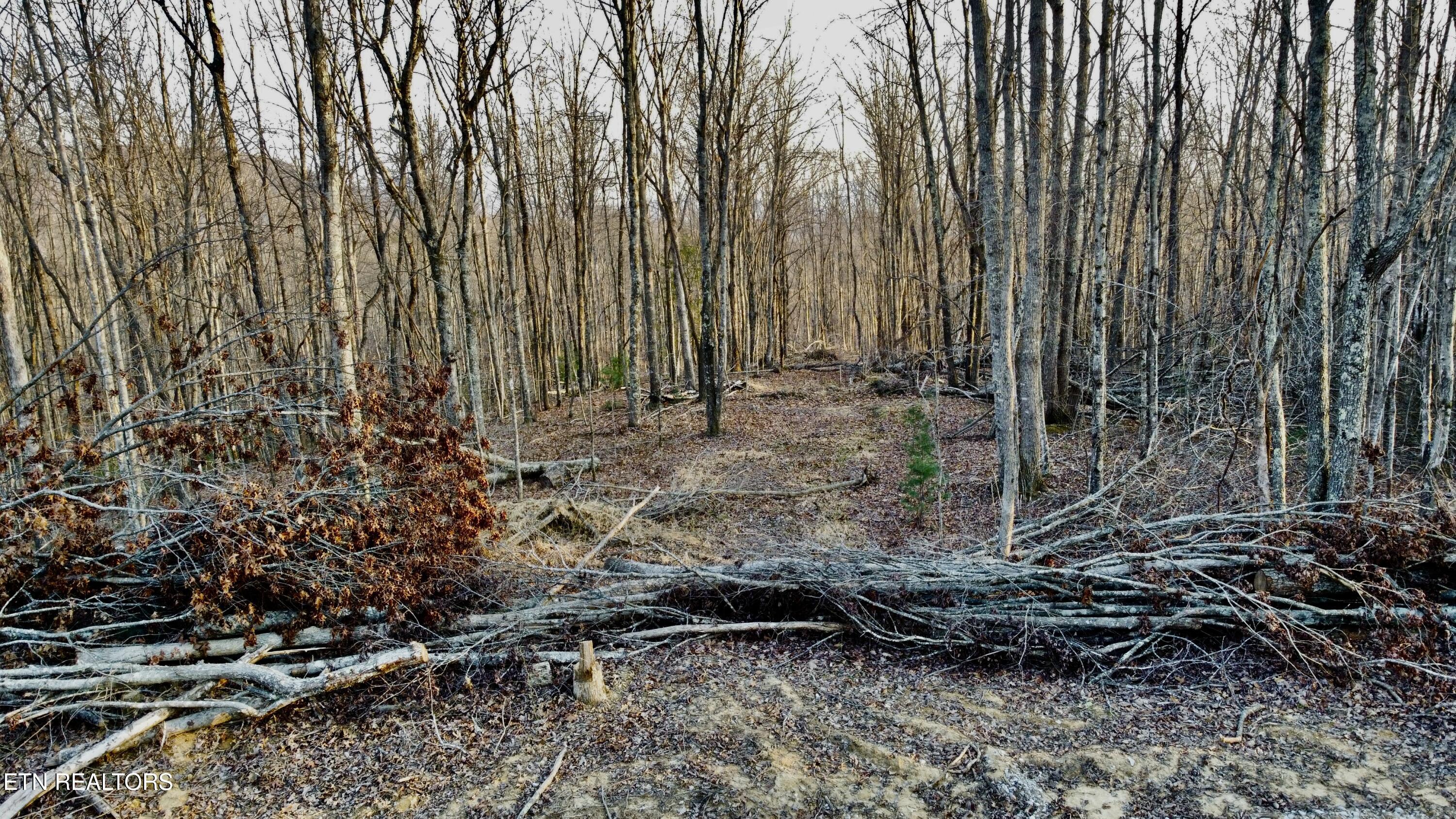 Lot#13 Mill Creek Road Sunbright, TN 37872 - Photo 12 of 15 Photo Mar 26 2026, 7 07 39 PM