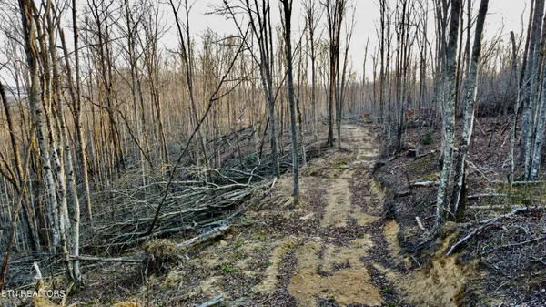 $58,600 | Lot#13 Mill Creek Road, Sunbright, TN 37872