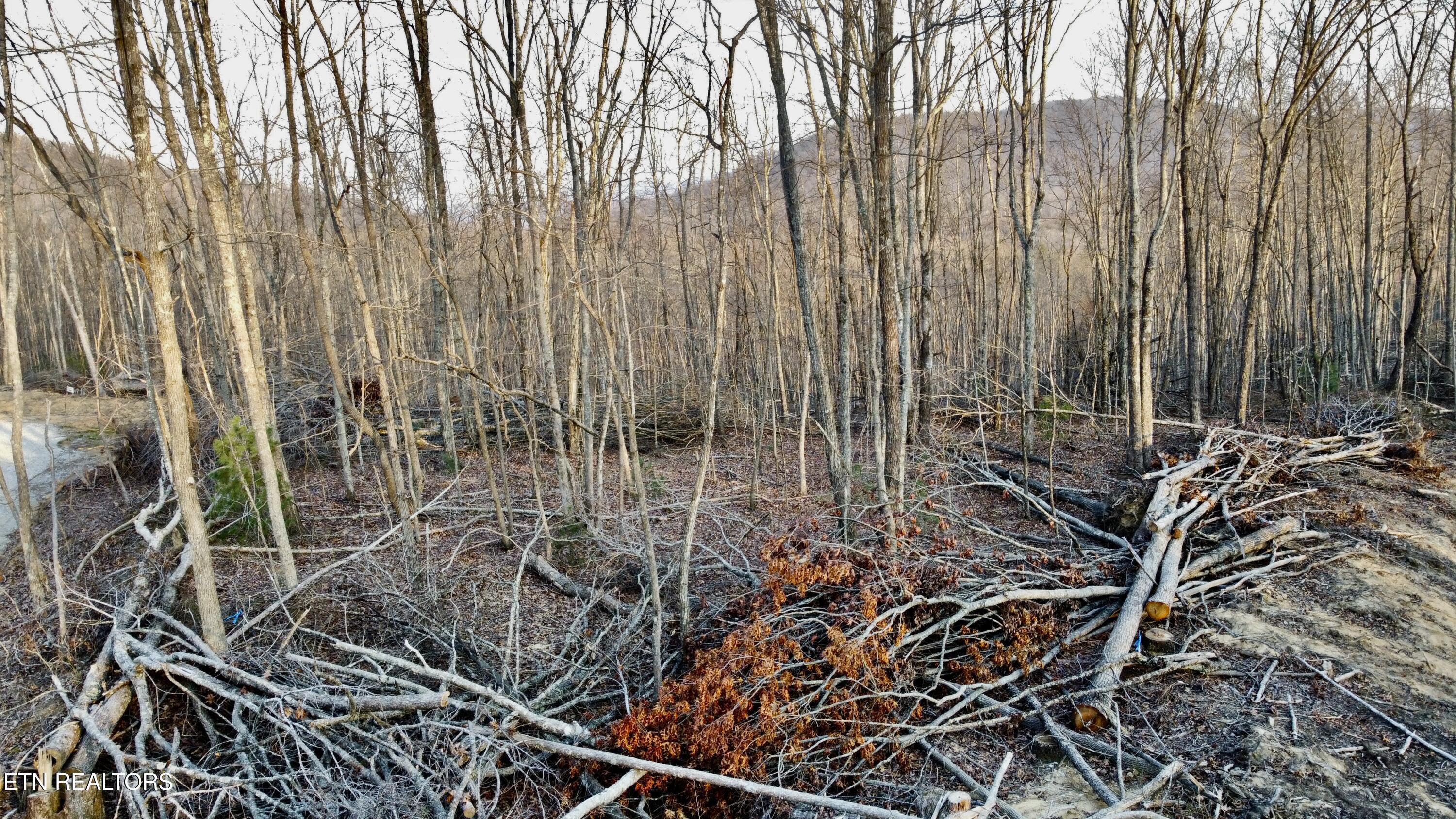 Lot#13 Mill Creek Road Sunbright, TN 37872 - Photo 14 of 15 Photo Mar 26 2026, 7 11 45 PM
