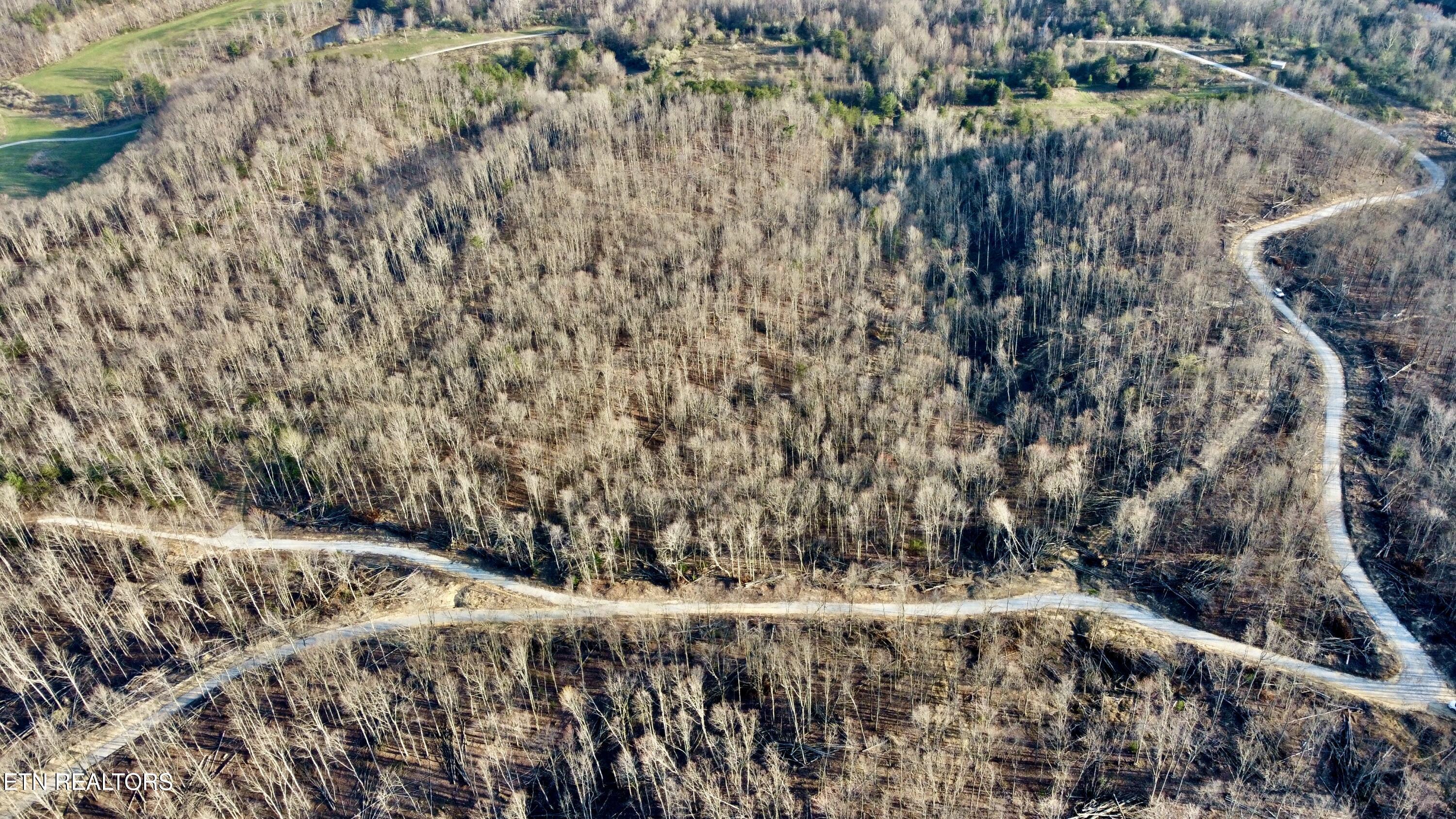 Lot#13 Mill Creek Road Sunbright, TN 37872 - Photo 5 of 15 Photo Mar 26 2026, 6 31 40 PM