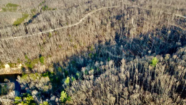 $58,600 | Lot#13 Mill Creek Road, Sunbright, TN 37872