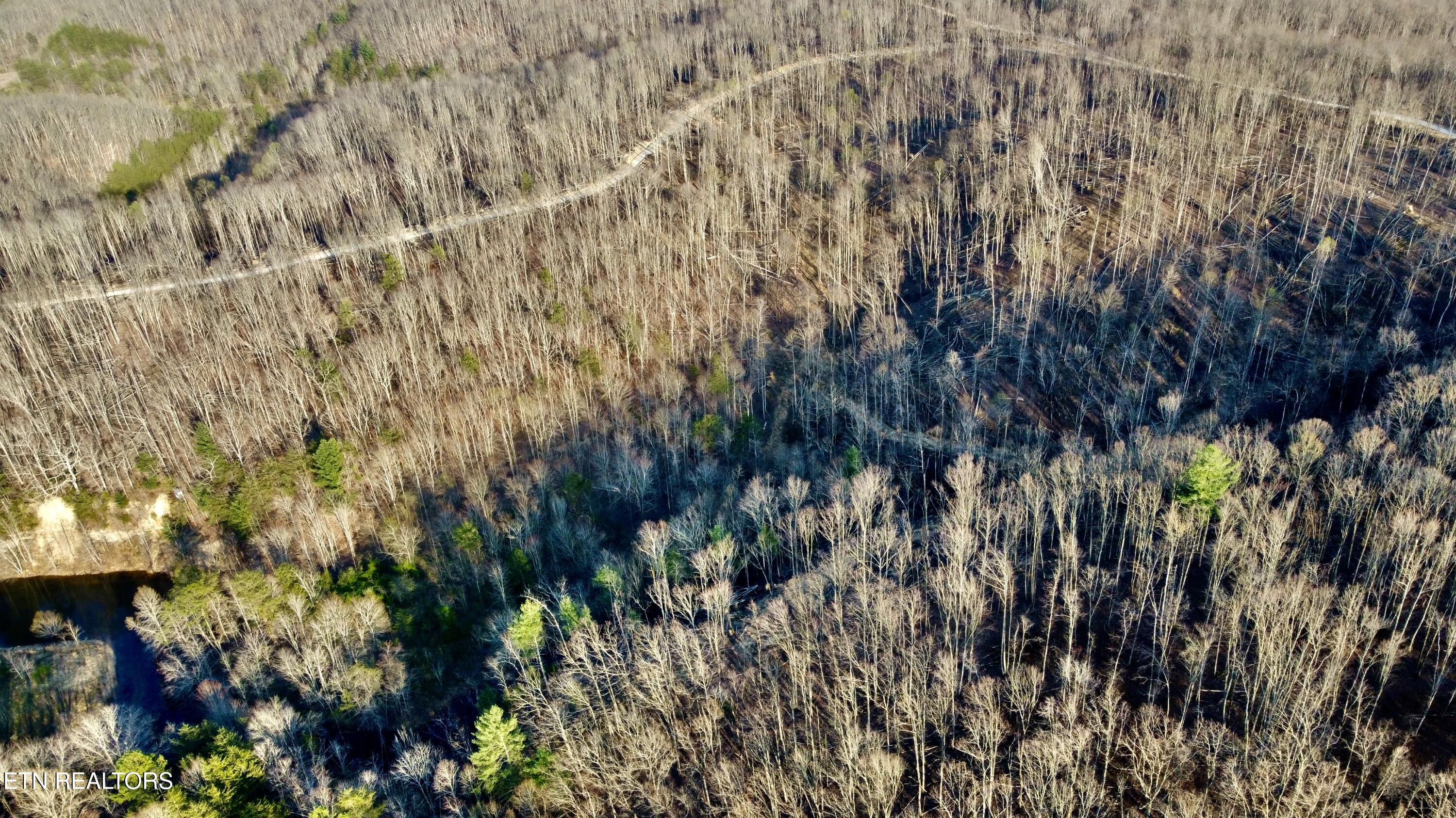 Lot#13 Mill Creek Road Sunbright, TN 37872 - Photo 7 of 15 Photo Mar 26 2026, 6 36 15 PM