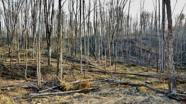 $58,600 | Lot#13 Mill Creek Road, Sunbright, TN 37872