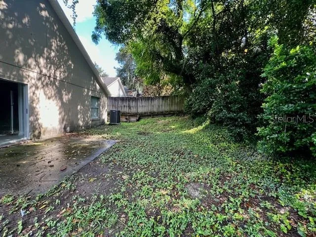 a view of a yard with plants and a large tree