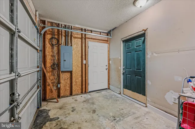 a view of a yard with trees