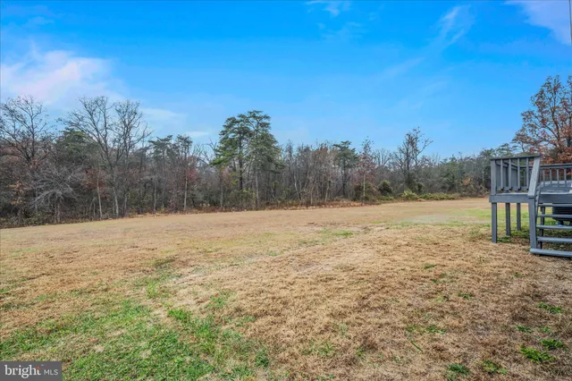 a view of yard with trees in the background