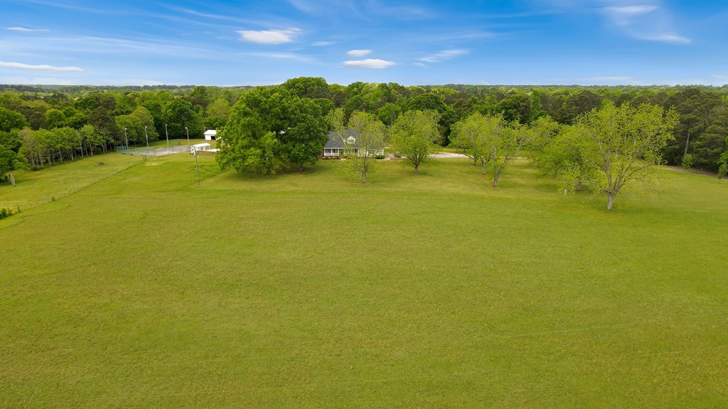 212 Hammond Road Greenwood, SC 29646 - Photo 2 of 40 View from Hammond Road