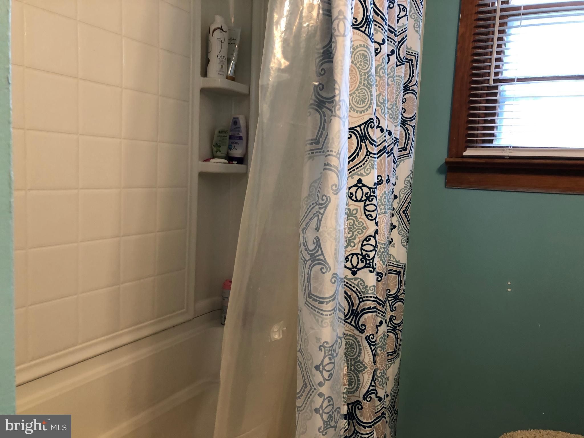 10692 Georgetown Road Laurel, DE 19956 - Photo 22 of 23 Bath tub/shower combo!