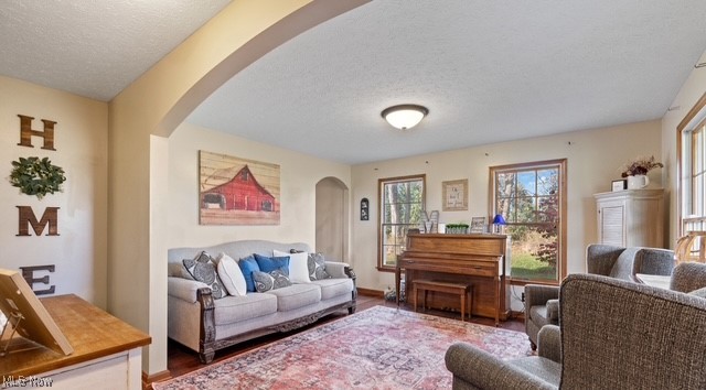 8995 Ridge Road Wooster, OH 44691 - Photo 25 of 50 Living room featuring a textured ceiling, arched walkways, and wood finished floors