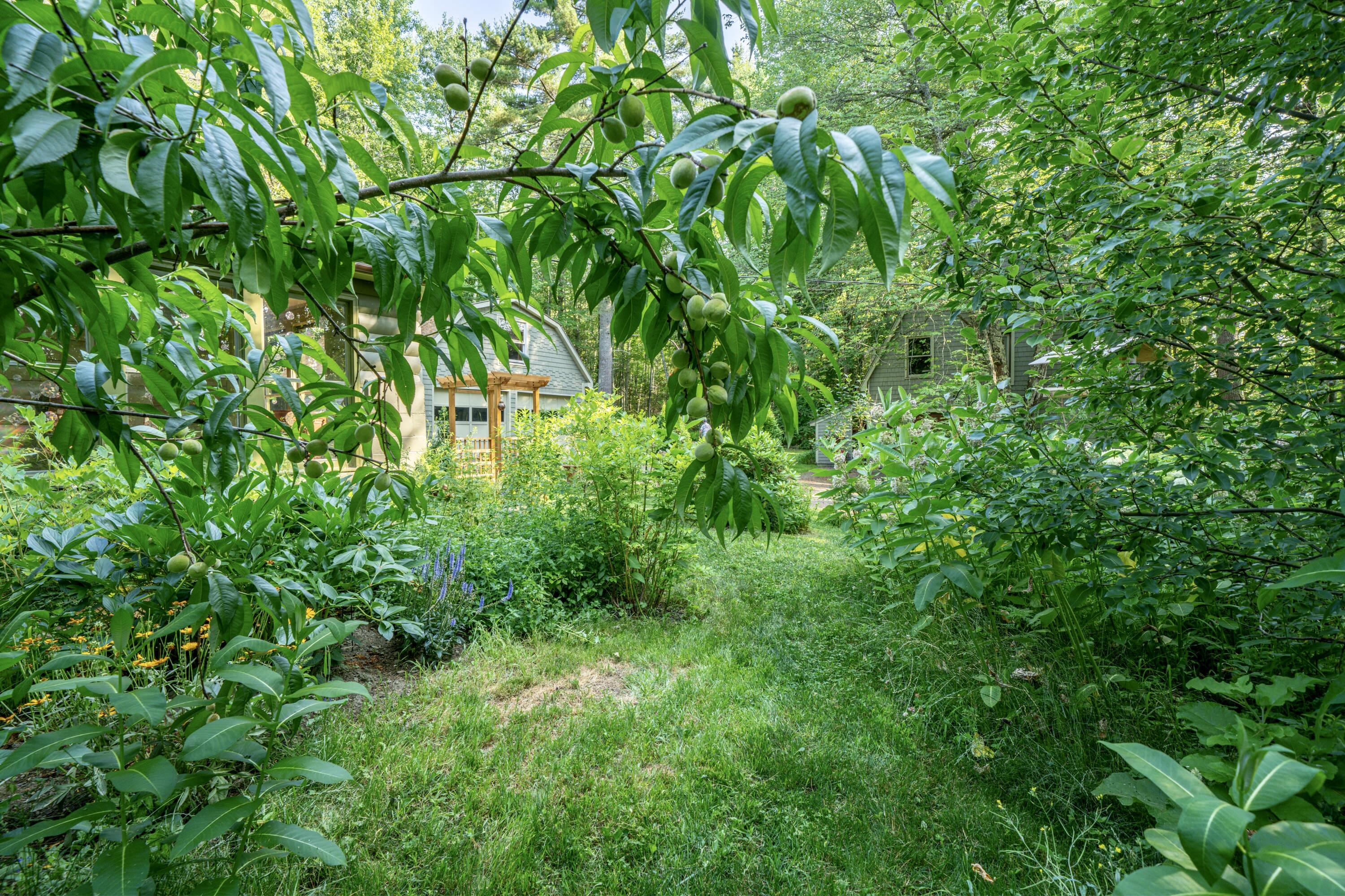 183 Pitcher Road Belfast, ME 04915 - Photo 54 of 65 4041