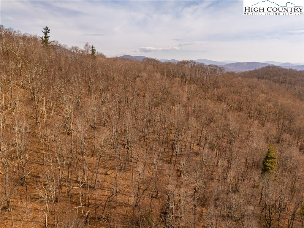 1395 Grady Winkler Road Boone, NC 28607 - Photo 27 of 50 Gallery Image 27